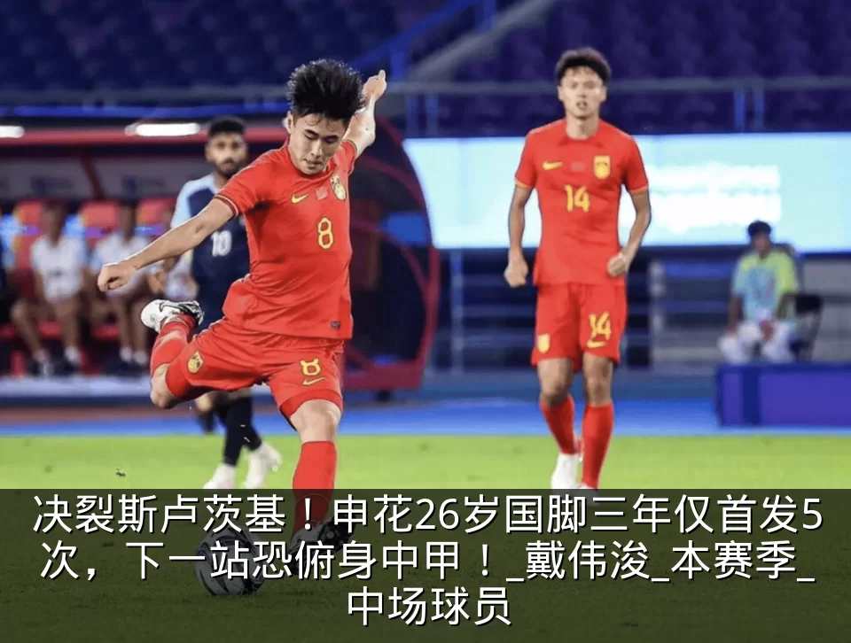 决裂斯卢茨基!申花26岁国脚三年仅首发5次,下一站恐俯身中甲!_戴伟浚_本赛季_中场球员